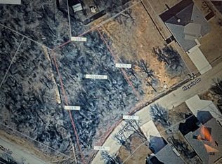 LOT 4 Haynie Dr, Bridgeport, TX 76426