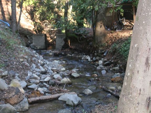 The Dam, great wimming hole