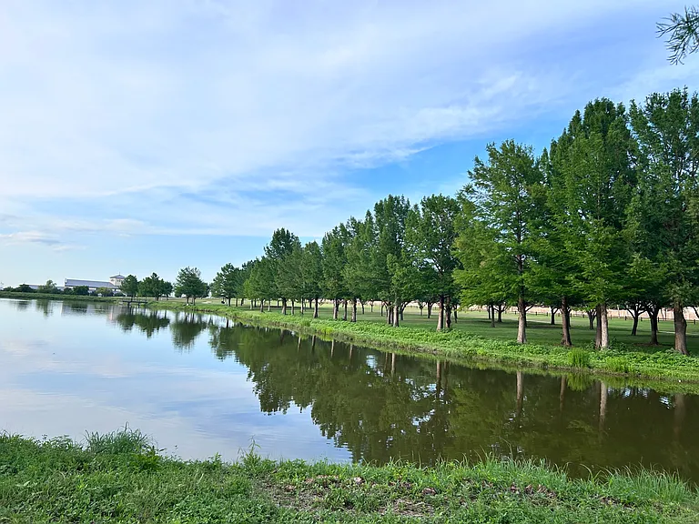 7924 Quiet Meadow Ln — Photo 22