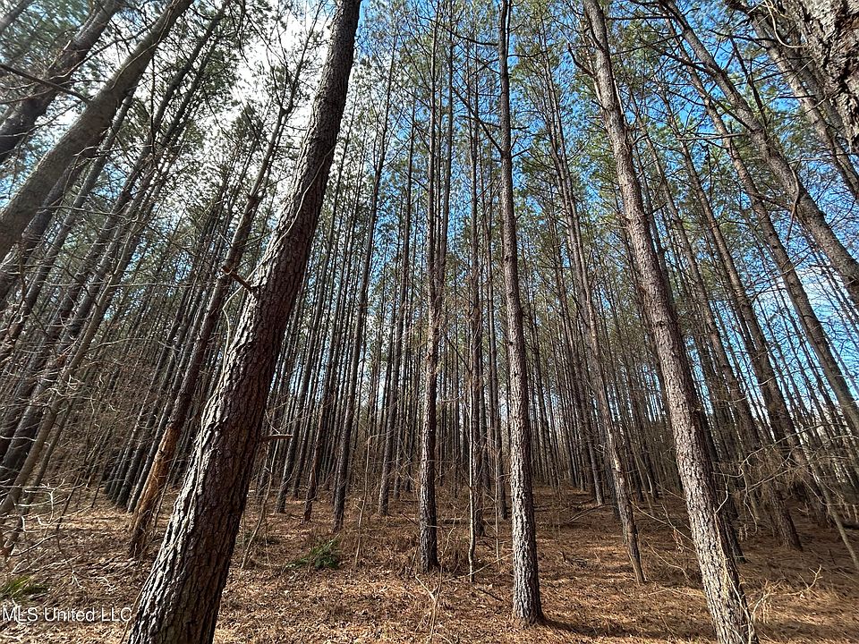 1st image of County Road 82