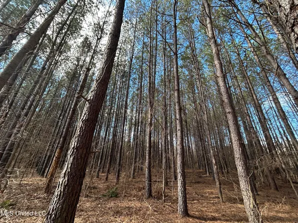 County Road 82, Coffeeville, MS 38922