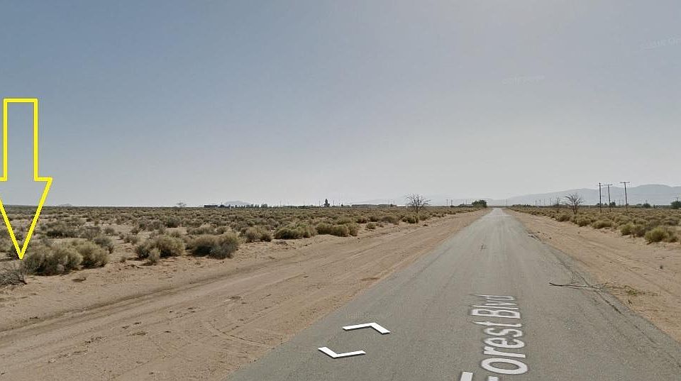 2nd image of Forest Blvd