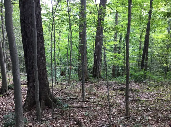 12195 Catalpa Dr, Chardon, OH 44024