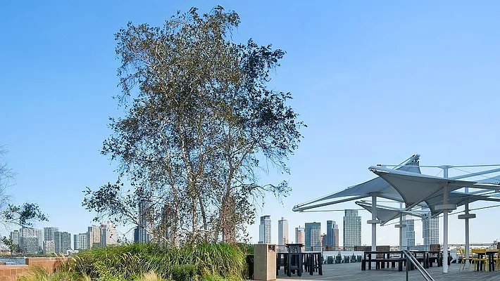 Rented by Brookfield (Funnel) | media 7