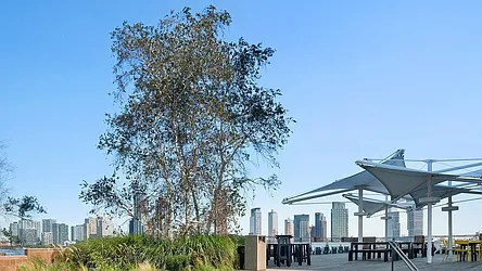 Rented by Brookfield (Funnel)