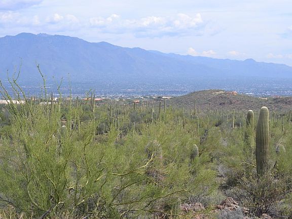 3rd image of 3951 N Avenida Dos Vistas