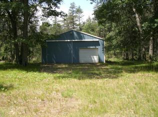 8637 N Forman Rd, Irons, MI 49644