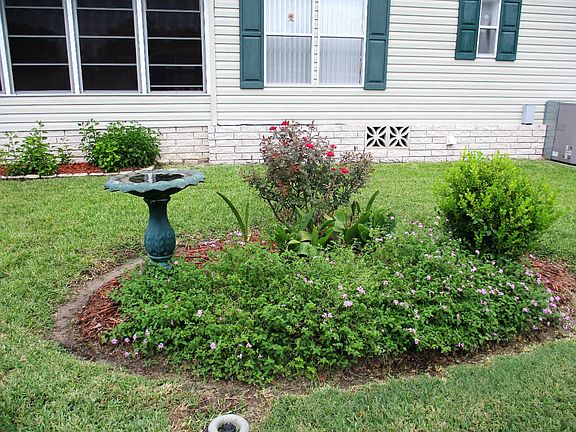 5th image of 3848 Buttercup Dr