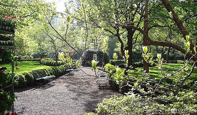 Rented by Oxford Property Group | media 36