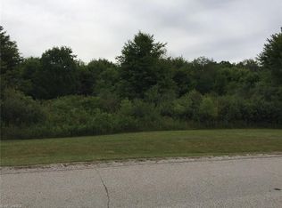 16035 Addington Ct, Newbury, OH