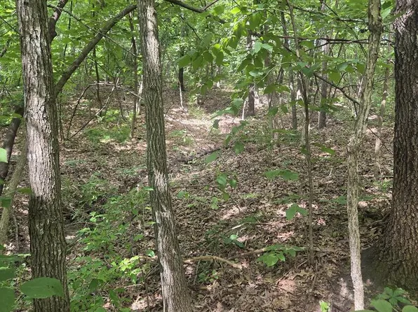 (undisclosed Address), Unionville, MO 63565