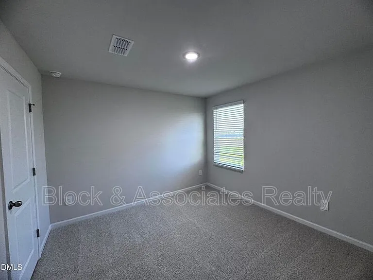 62 Thistle Patch Pl — Photo 13