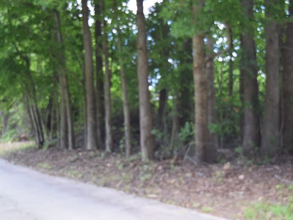 5th image of 102 Trellis Way