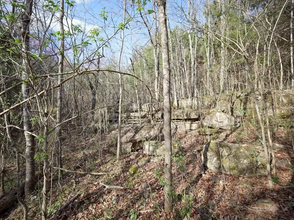 107 Pindall Grove Rd, Everton, AR 72633