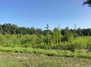 335 Johnny Rd, Lamont, FL 32336