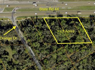 0 STATE RD 44 LOT 30, NEW SMYRNA BEACH, FL 32168