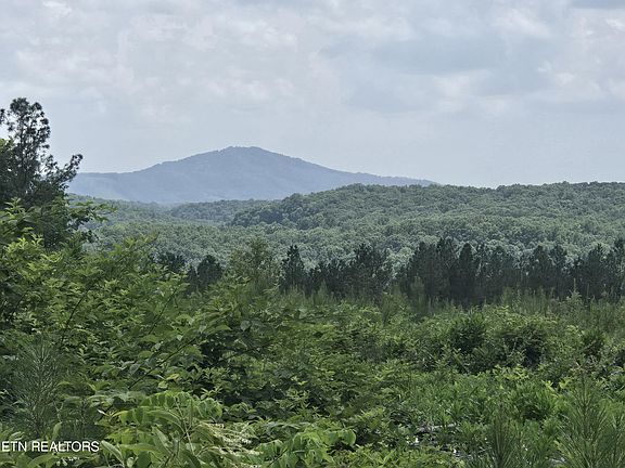 3rd image of Owl Ridge Way