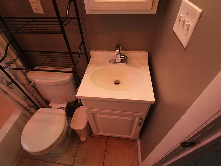 Bathroom vanity and toilet seat