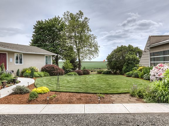 Front yard