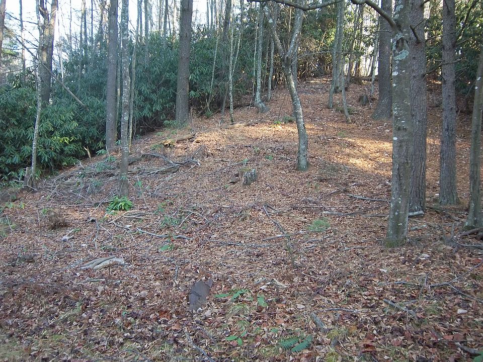 1st image of Poplar Camp Road