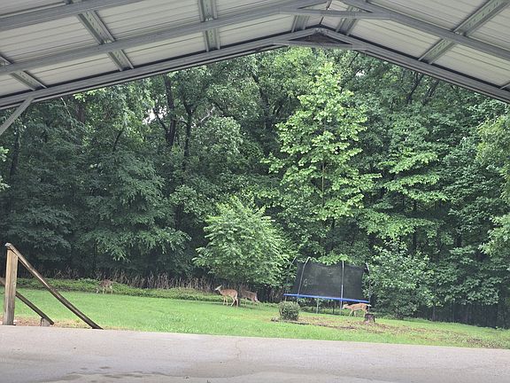 5th image of 955 Dogwood Dr