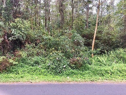 1st image of 30th Ave