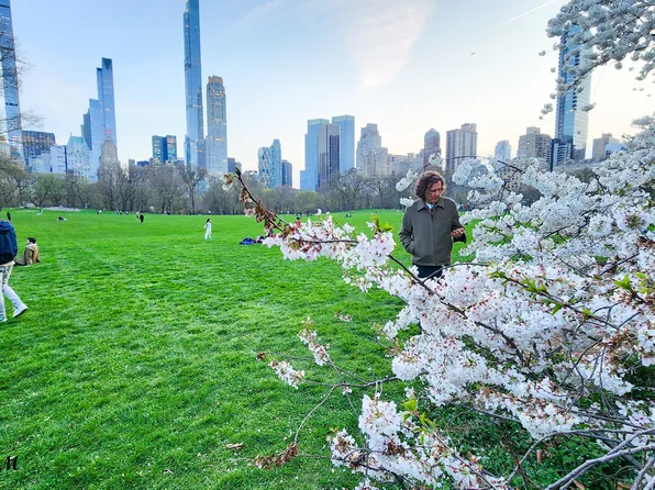 200 West 58th Street image 14 of 14