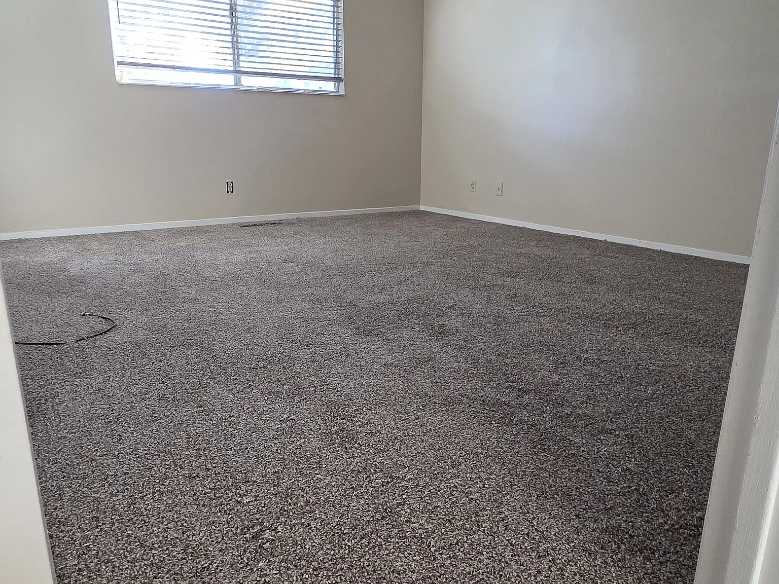 3 bed, 1374 sqft, $2,375 — Photo 4