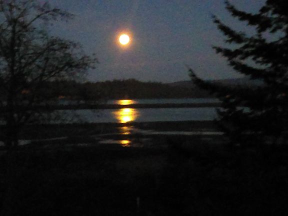 Moonrise over Willapa Bay