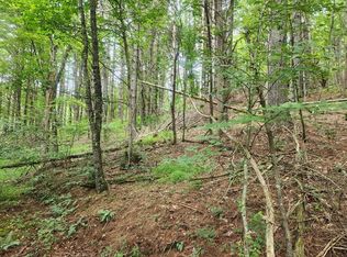 Tbd Old Bridle Creek Rd, Independence, VA 24348
