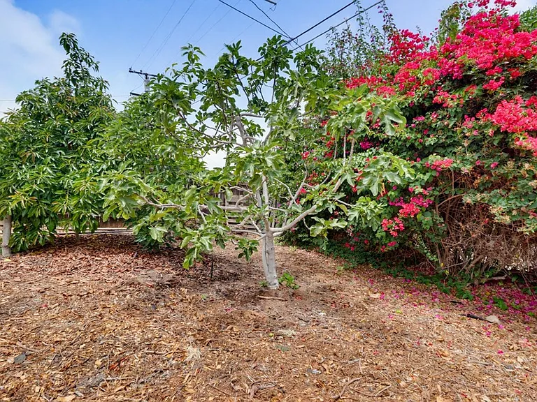 7134 Hybeth Dr — Photo 51