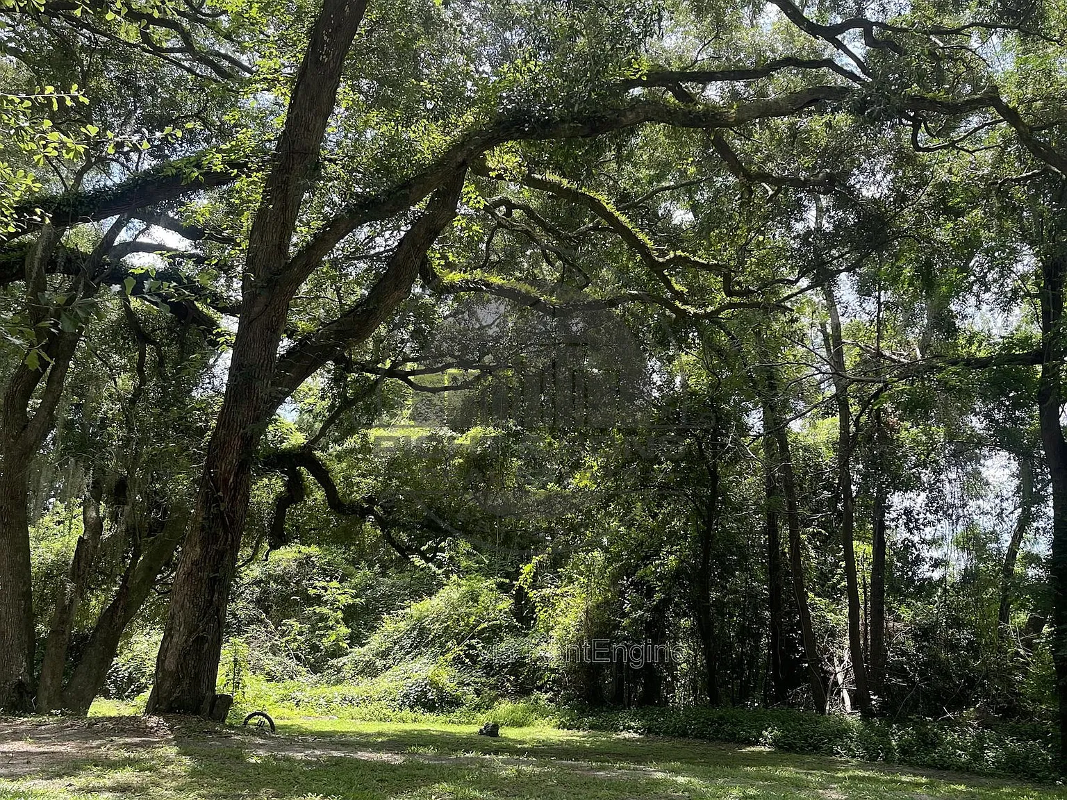 2 bed, 1.5 bath, 1024 sqft, $1,150 — Photo 4