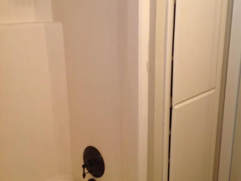 Tub shower in bathroom