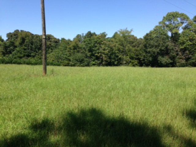 2nd image of 1898 Chalybeate Springs Rd