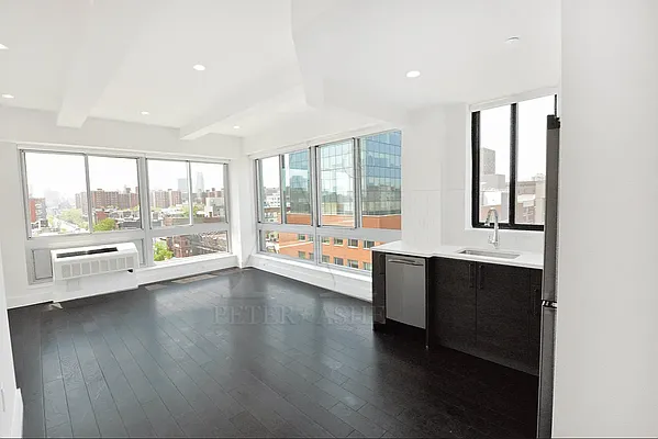 Rented by Peter Ashe | media 3