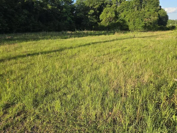 104 Treadwell Dr, Bonifay, FL 32425
