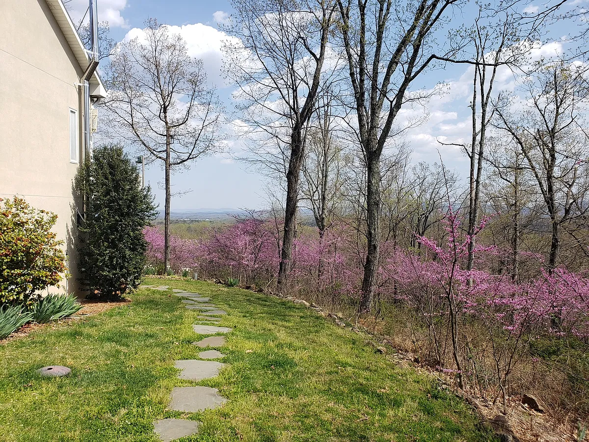 Path to Private Entrance - 793 Clifton Trl