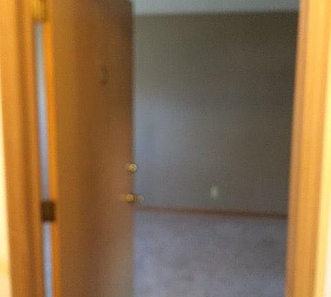 Entry into living room - new carpet