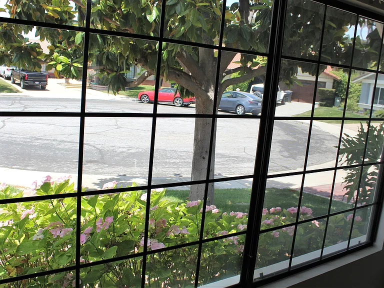 view_06262023