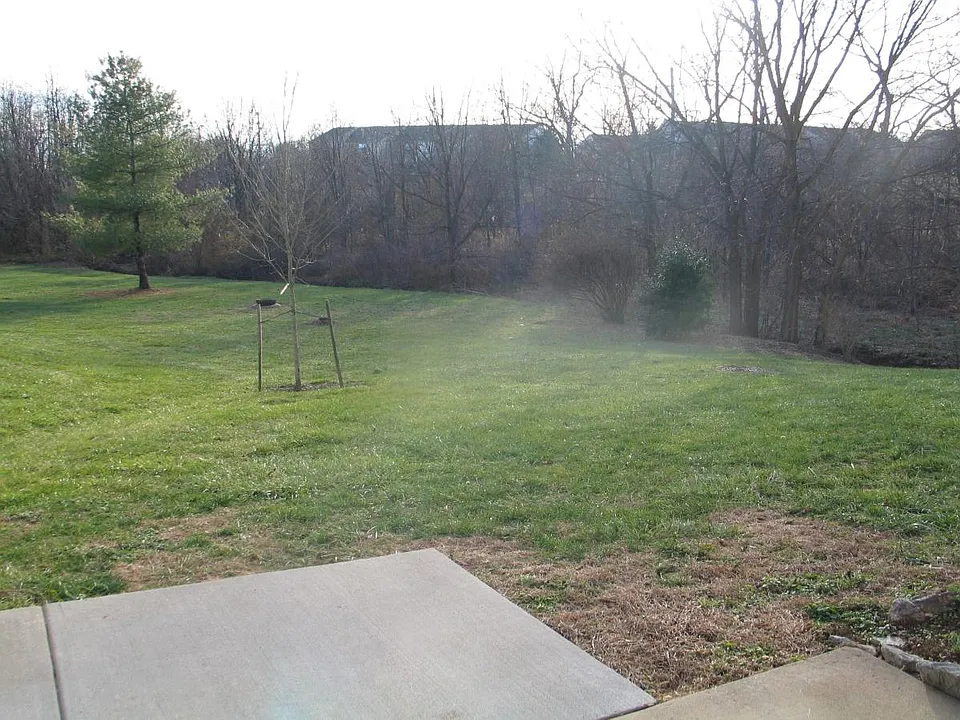 View from the patio