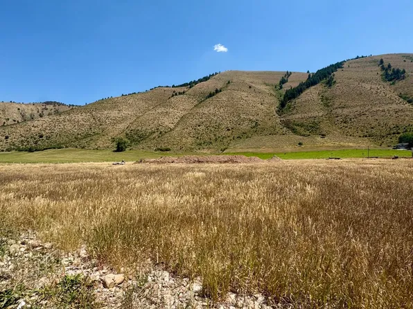 26 Arrow Leaf Ct, Afton, WY 83110