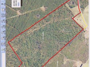 1184 Birch Creek Rd, Andrews, SC 29510