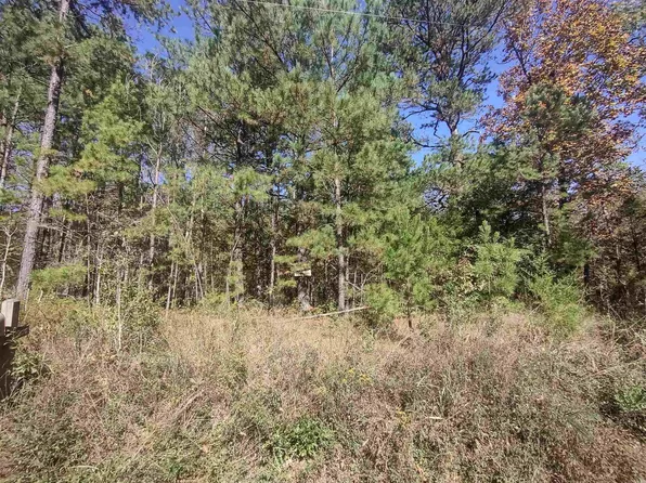 1.78 Indian Loop, Amity, AR 71921