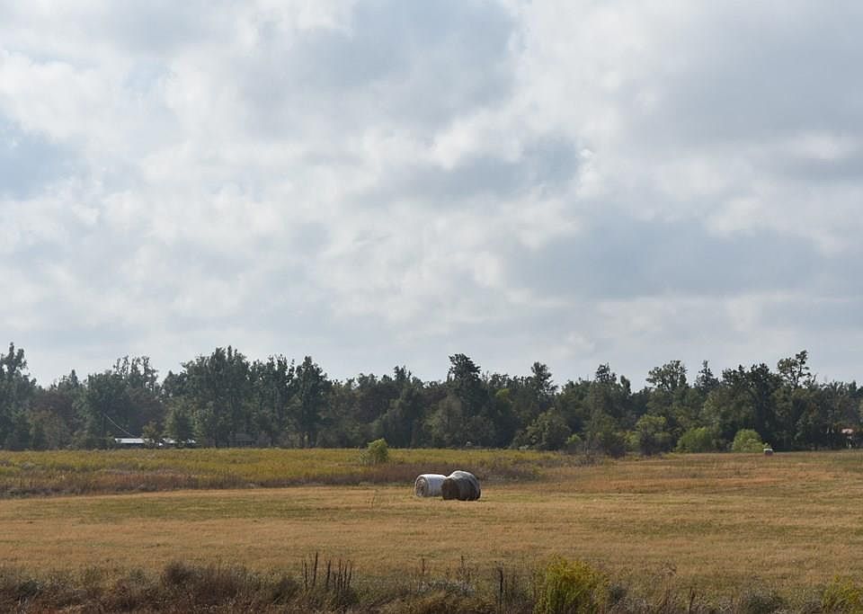 1st image of 2613 Boggy Bayou Rd