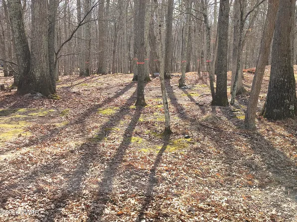 174 Cottonwood Dr, Hawley, PA 18428