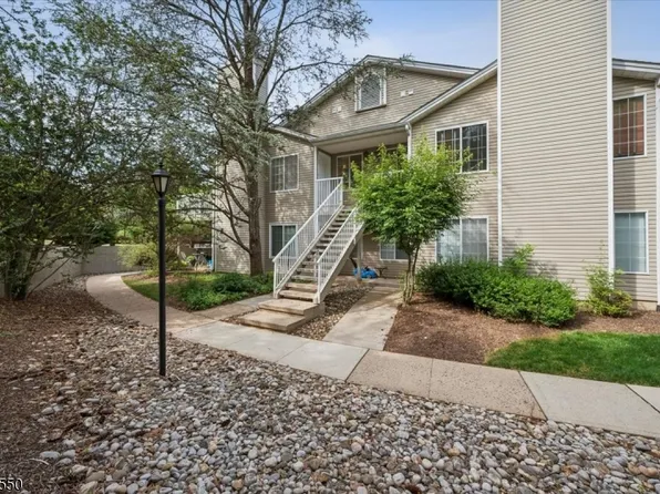 40 Ray Court, Bedminster Twp., NJ 07921