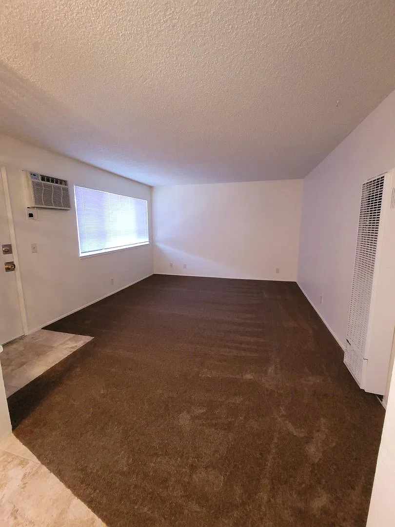 BS116 - WhiteFront — Photo 1