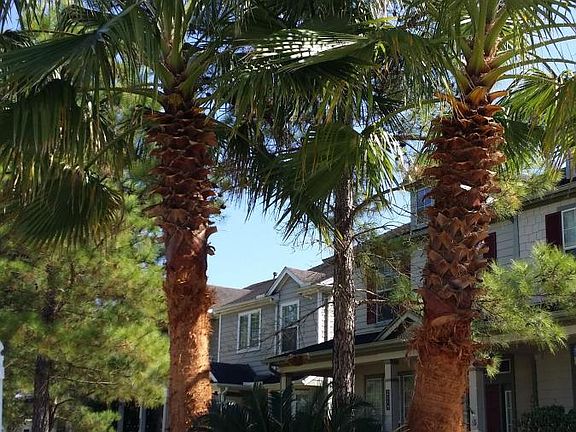 Lush landscaping with Great Palm Trees Curb Appeal!