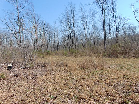 5th image of 3160 Jimmy Holt Rd