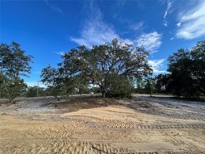 0 NE 100th Ave, Bronson, FL, 32621